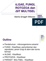 Algae Fungi Protozoa Dan Parasit Multisel2