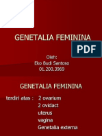 Genetalia Feminina