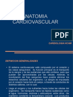 Anatomia Cardiaca