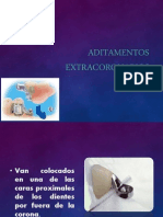 Aditamentos Extracoronarios 