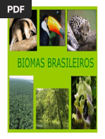 biomas brasileiros 2010