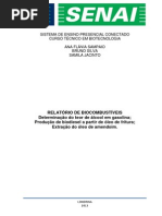 Relatório Biocombustível 2ª Prática!