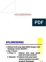 EFLORESENSI