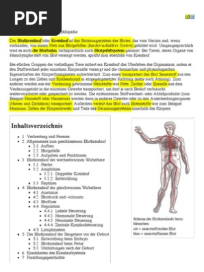 Blutkreislauf Wikipedia
