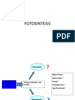 FOTOSINTESIS12