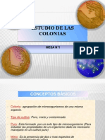 Estudio de Colonias