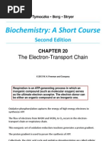 Chapter 20 ETC and Oxidative Phosph