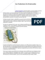 Cómo Trabajan Los Traductores En ICanLocalize Translator
