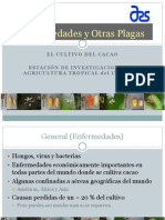 enfermedades-cacao.pdf