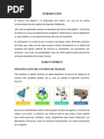 Naturaleza Del Entorno