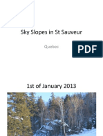 Sky Slopes in ST Sauveur