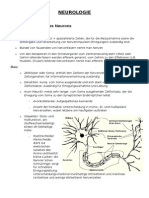 Neurologie-Zusammenfassung (Abi)