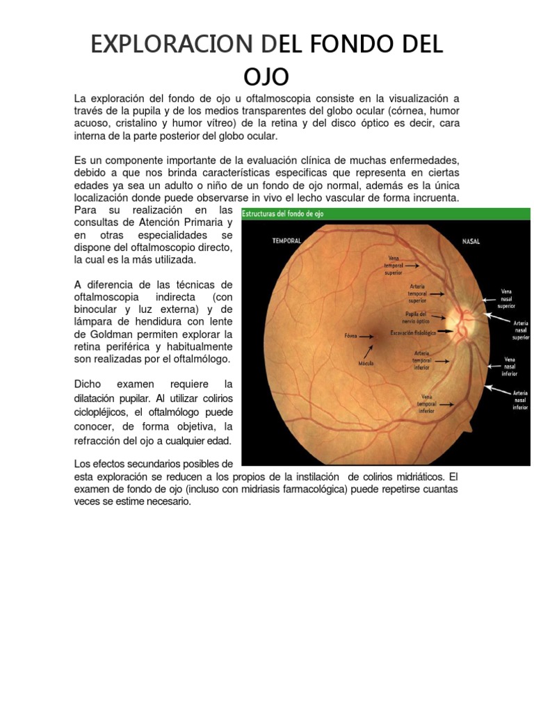 Exploracion Del Fondo Del Ojo | PDF | Ojo humano | Oftalmología