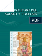 Metabolismo Del Calcio y Fosforo-Pth