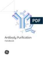 antibody purification