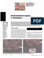 Small Intestinal Surgery 2