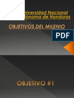 Objetivos Del Milenio