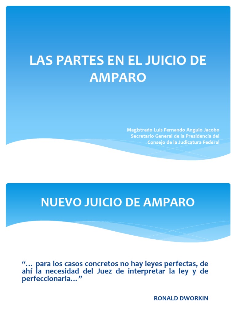 Las Partes En El Juicio De Amparo Pdf