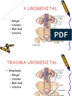 Kuliah Trauma Urogenital