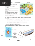 Ficha de CN 2º Teste de Dez 2014
