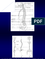 Imaging Rachide