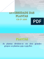 Constituição Das Plantas