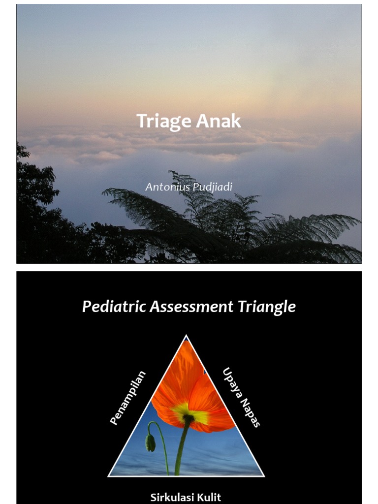 Pediatric Assessment Triangle Guide | PDF