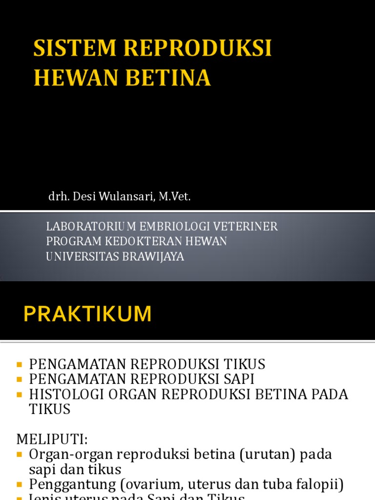 2 Sistem Reproduksi Hewan Betina