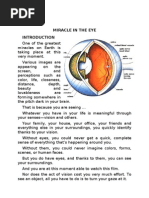 The Miracle in The Eye