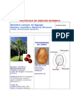 Protocolo de Análisis Botánicoaguaje