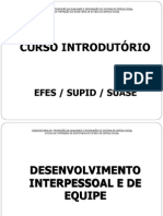 Desenvolvimento Interpessoal e de Equipe