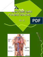 1 Anatomi Dan Fungsi Ginjal