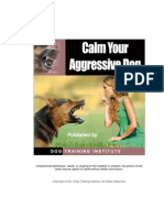 Calm Your Aggressive Dog