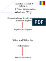 What and Why: Economically and Socially Developed Romanian Regions