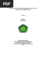 Download Isolasi Dan Identifikasi Bakteri Asam Laktat Kambing by Muhammad Ibenk Abdillah Raona SN248954449 doc pdf