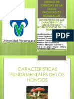 Descripcion de Las Caracteristicas Morfologicas y Estructurales de Los Hongos