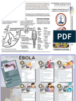 Triptico Ebola 2