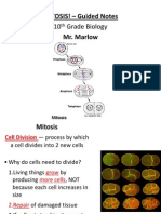 MITOSIS! - Guided Notes Mr. Marlow: 10 Grade Biology