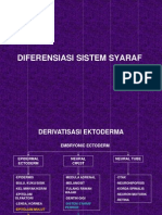 Diferensiasi Sistem Syaraf