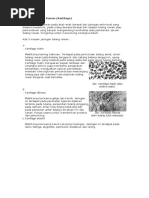 Download Jaringan Tulang Rawan by anggo12 SN24899705 doc pdf
