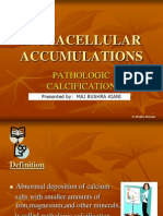 Intracellular Accumulations: Pathologic Calcification