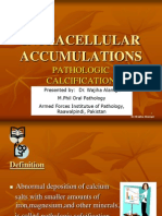 Intracellular Accumulations 