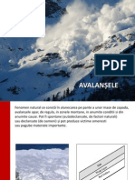 Avalanse-121025032707-Phpapp02 Proiect