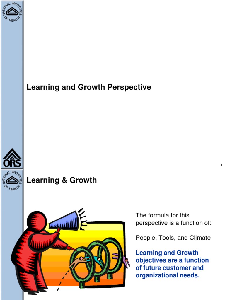 Learning and Growth Perspective | PDF
