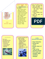 Leaflet Isk PKM