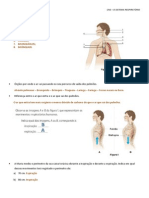 Sistema Respiratório Correção PDF