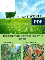 Plant World