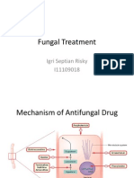 Fungal Treatment: Igri Septian Risky I11109018