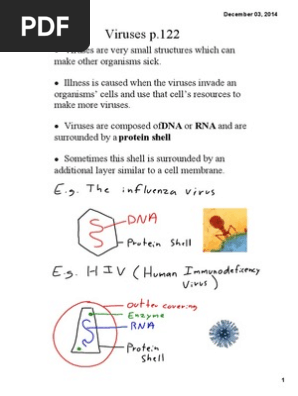 Unit 2 2 Virus Bacteria