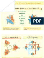 Atlas Basico de Patologia Cardiovascular